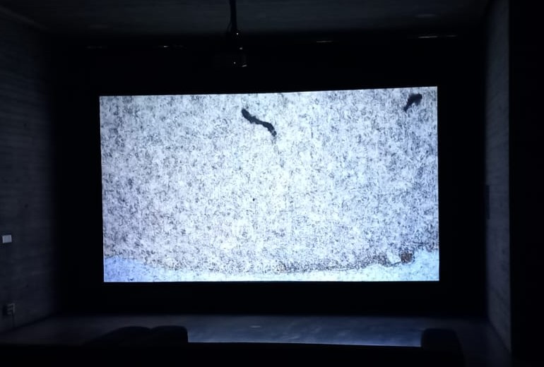 IMIBIC's tweet image. 🎥✨ ¡No te pierdas la película EDÉN de Juan López López! 

🔬La Unidad de Microscopía Óptica Avanzada del @IMIBIC ha colaborado en esta impactante película, una inmersión visual única por la provincia de Córdoba que explora la belleza en lo microscópico

👉No dejéis pasar la…