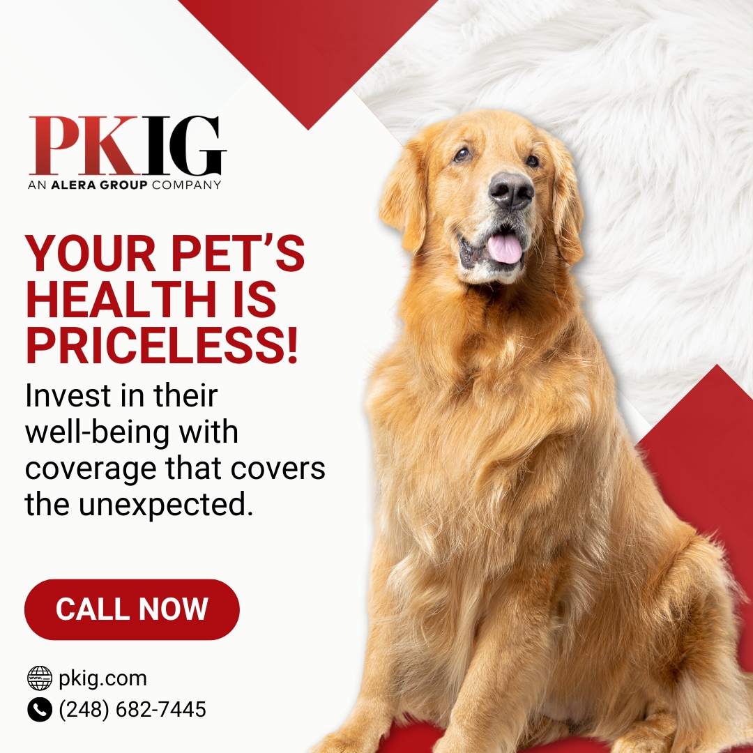 pkleininsurance's tweet image. Every wag, purr, and tail wiggle is worth protecting!

With pet insurance from Phil Klein Insurance Group, you can be prepared for life's little surprises.

Invest in your pet's health today and ensure they're always in good hands!

#PKIG #InsuranceSolutions #InsureYourFuture