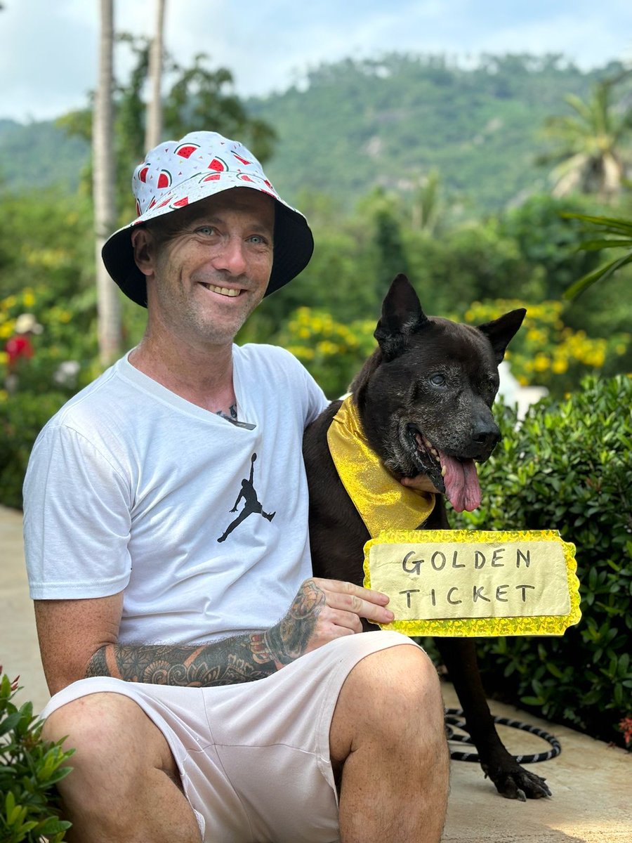 NiallHarbison's tweet image. I want to give something very special back to say thanks for all the support...
  
🎫 Golden ticket for 2 people to visit Thailand
✈️ Plane tickets  
🏩 Hotel stay 
🌴Help me with the dogs  

Very simple to enter… 
form.typeform.com/to/FNkEhHho

Winner picked tomorrow. 🤞🤞