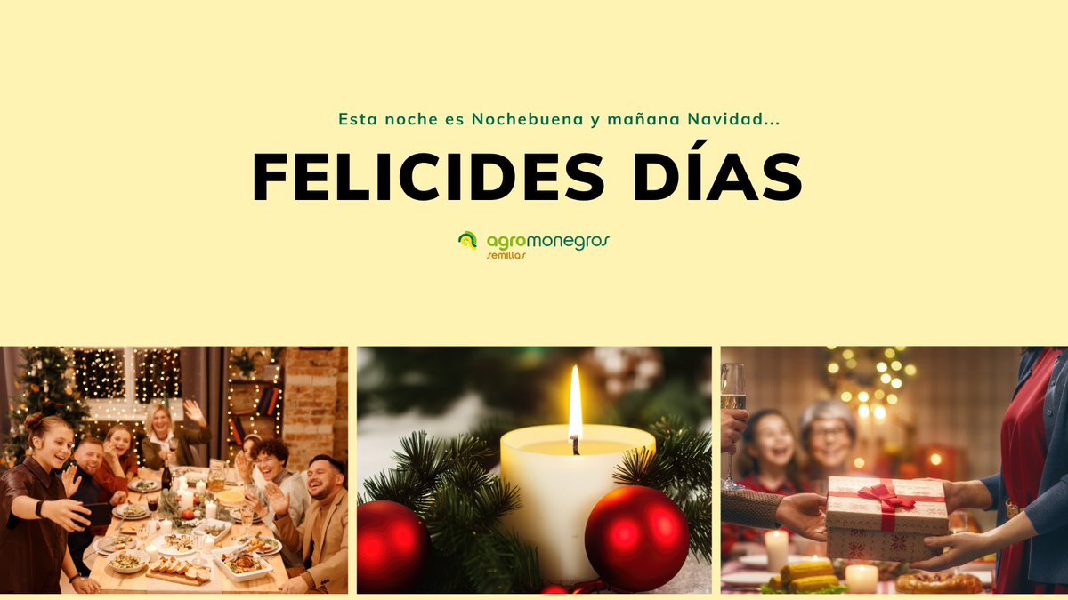 Desde Agromonegros os deseamos una Feliz Nochebuena y una Navidad llena de alegría. 🎄 ¡Gracias por confiar en nosotros y que el 2024 venga cargado de muchos éxitos! 🎅✨ #FelizNavidad #Agromonegros