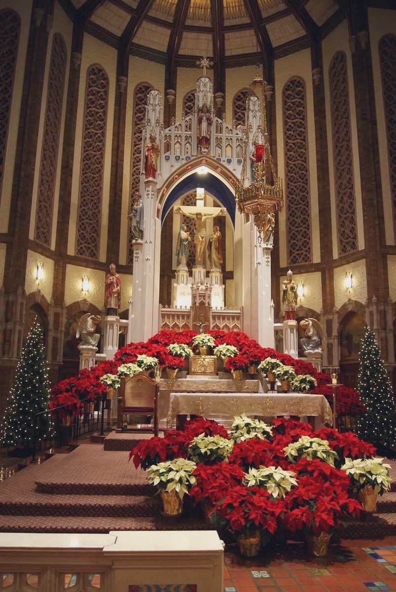 Pray The Rosary tweet media