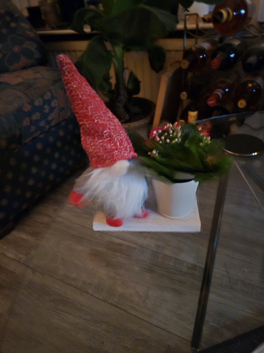 Kim Groot Antink tweet media