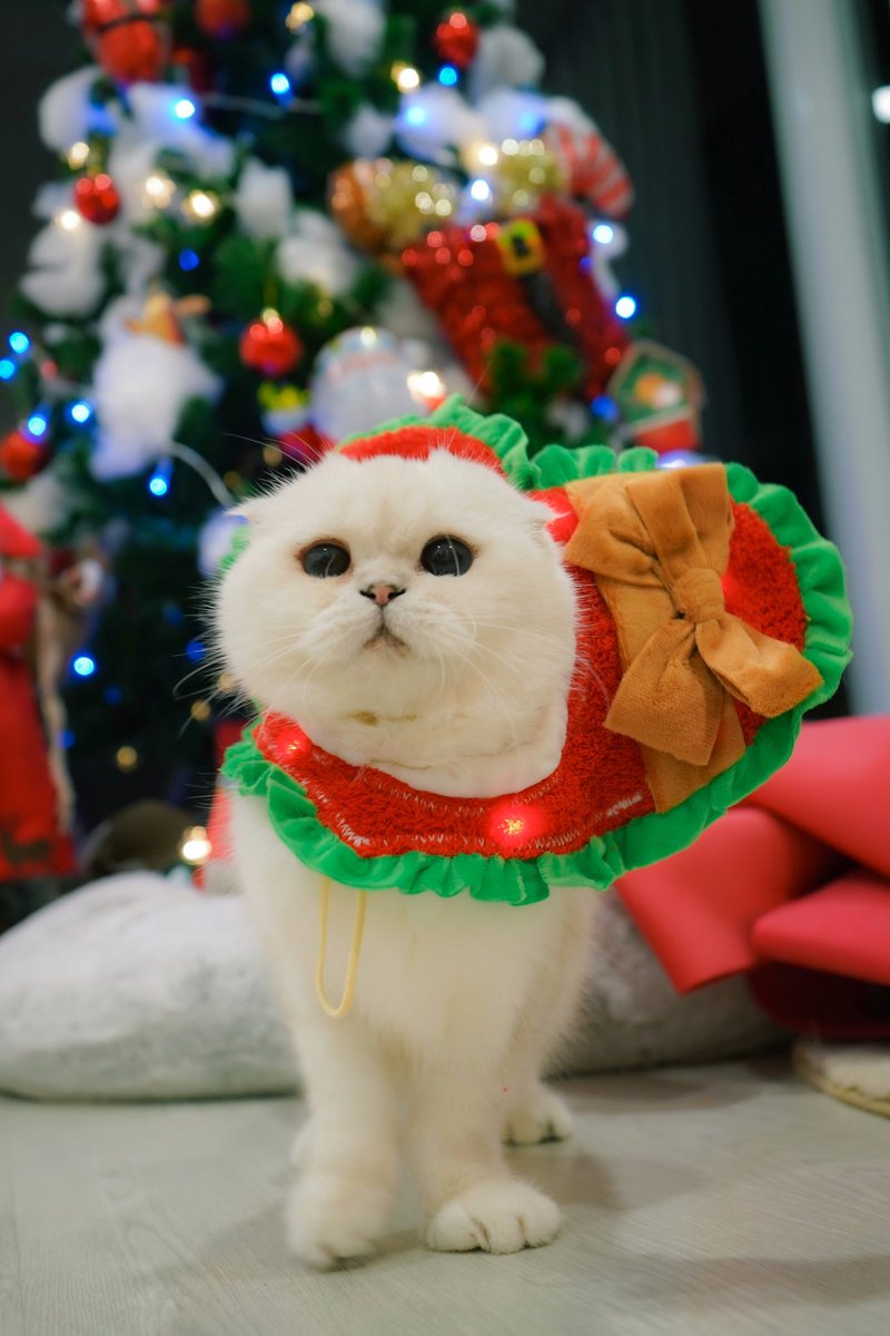 Bonusiie's tweet photo. อุ๊ https://t.co/gNGEZIm8ck