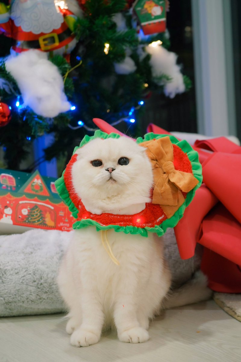Bonusiie's tweet photo. อุ๊ https://t.co/gNGEZIm8ck