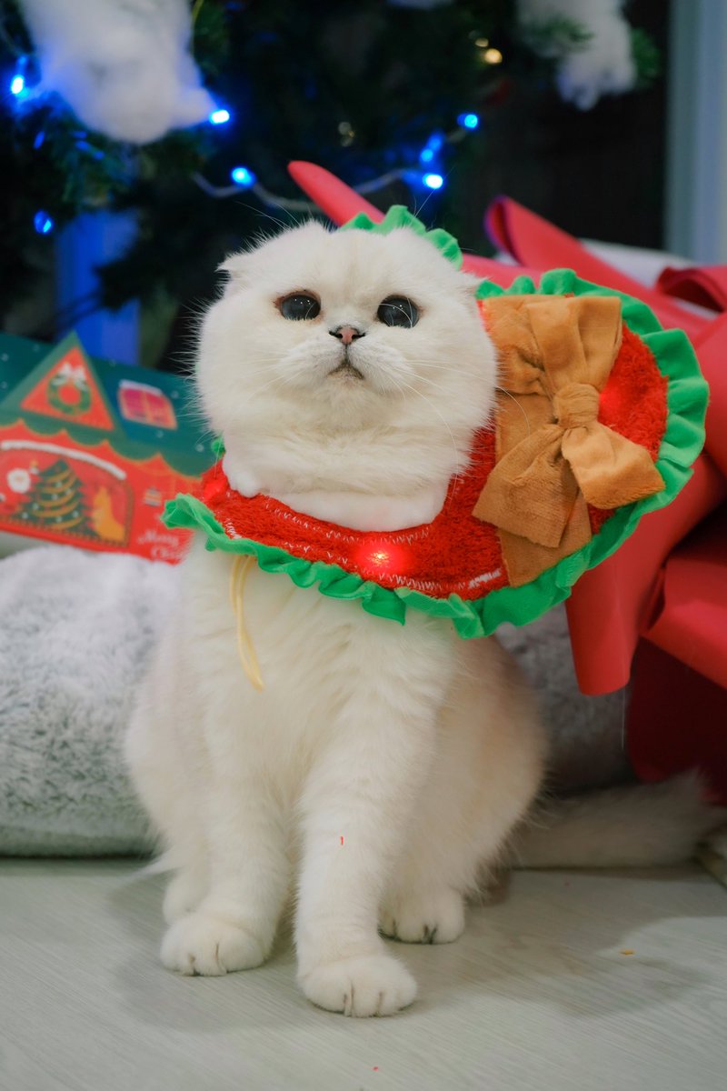 Bonusiie's tweet photo. อุ๊ https://t.co/gNGEZIm8ck