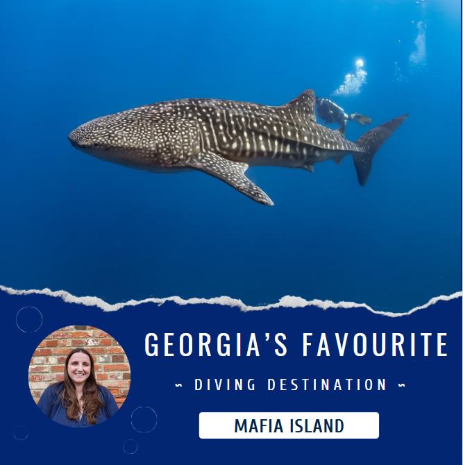 Dive Worldwide tweet media