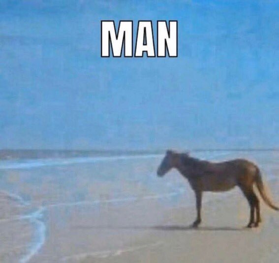 Jess✨️ tweet media