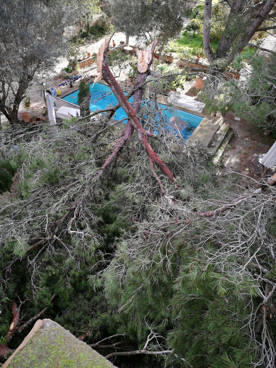 mgd_gonzalez's tweet photo. @MeteoIB3 @TempsIB3 Can Bernat. Els Antigons, Sta Maria del Camí https://t.co/9rzTMW8Tfj