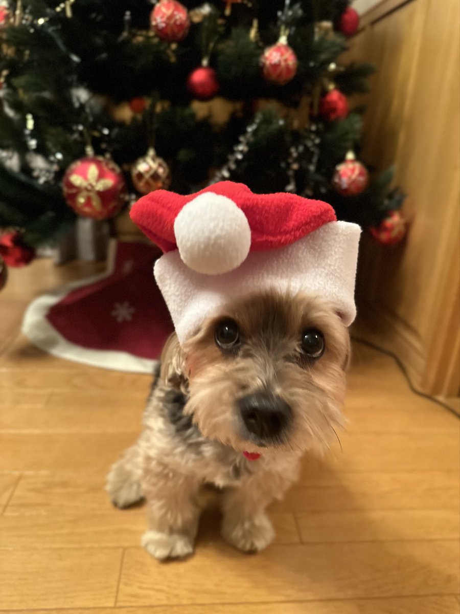 らっちゃん♡ らっちゃんズ (@RawMeat_Lover) / Posts / X