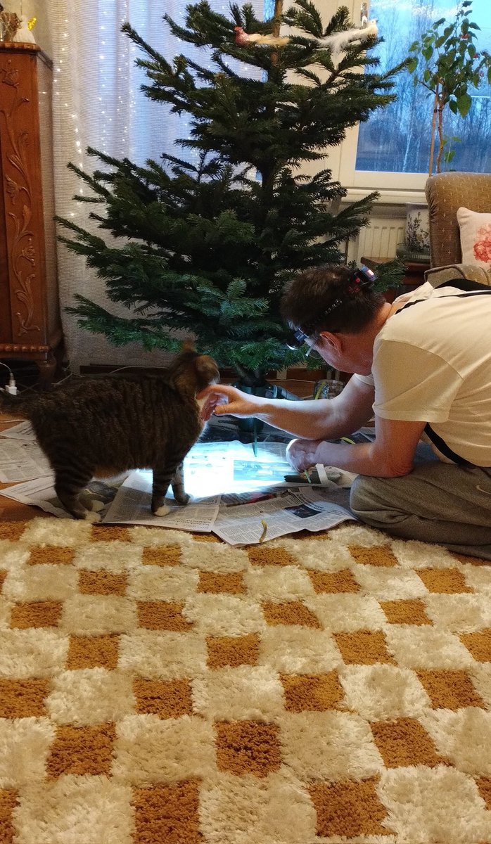 tuijamh's tweet photo. Sitten laitetaan kotiin kuusi. 🎄 Se onkin vähän toispuoleinen ja muutenkin hassu, mutta sympaattinen. Ossi-kissa valvoo kuusen juottosysteemin viritystä. Obviously. #kuusi #joulukuusi #kissa #joulu https://t.co/KN42NgZh7y