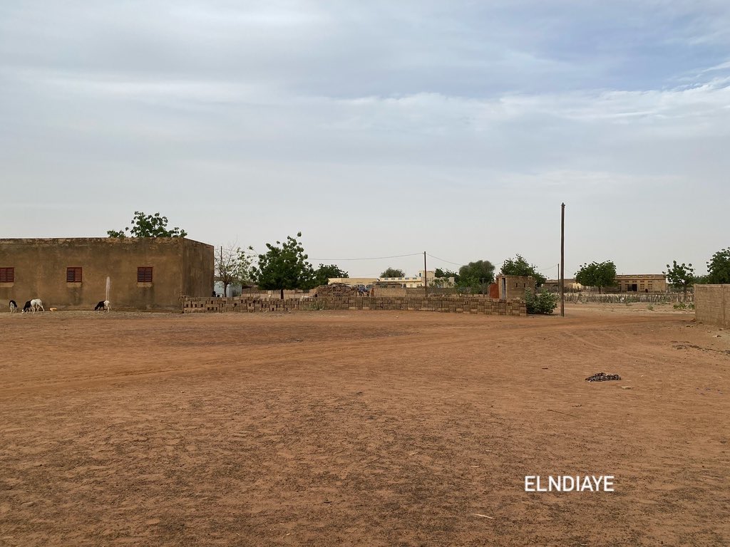 Elndiaye221's tweet photo. Village de Sédo Abass ( Matam - Sénégal ) 📸🇸🇳 village à proximité de Sédo Sébé et de Thiaréne 

Évitons de couper les Arbres 🌳 reboisons nos terres , c’est désertique

@Senegal_rt 
#NaturePhotograhpy #Senegal https://t.co/jAdFVyMkjt