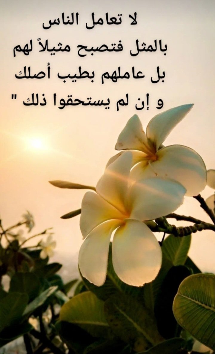 hasn_tt3's tweet photo. #مساء_الخير 
#مساء_الاجواء_الحلوه 
#جدة_الأن 
#جدة_التاريخية 
#السعودية https://t.co/1fI4zxjwDV