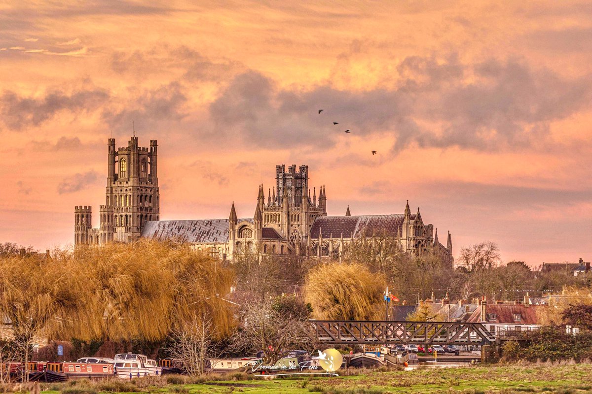 VeronicaJoPo's tweet image. Wishing everyone a Christmas of kindness and love! 🌟
Thank you with all my heart for all your messages and comments. I read them all 🙏🏻🧡🎄🥰
Ely Cathedral in Ely, Cambridgeshire 

#Christmas #elycathedral #kindess #bestwishes