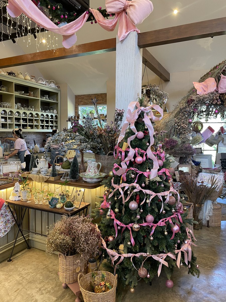 Orntheway's tweet photo. Christmas is coming!! 🎀💖🫶✨
#Christmas #khaoyai #chuencafe https://t.co/RMPBHp3MEO