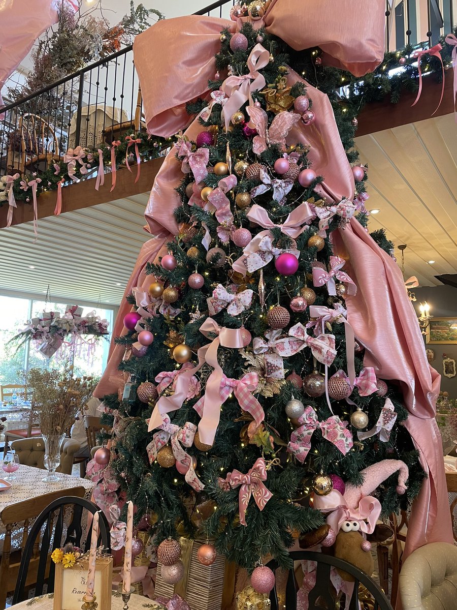 Orntheway's tweet photo. Christmas is coming!! 🎀💖🫶✨
#Christmas #khaoyai #chuencafe https://t.co/RMPBHp3MEO