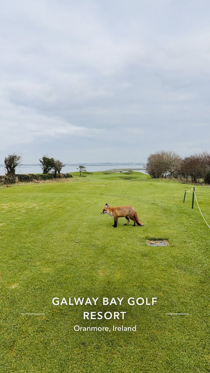 liamowalsh's tweet photo. @NUCLRGOLF https://t.co/TcZgxHRZD3