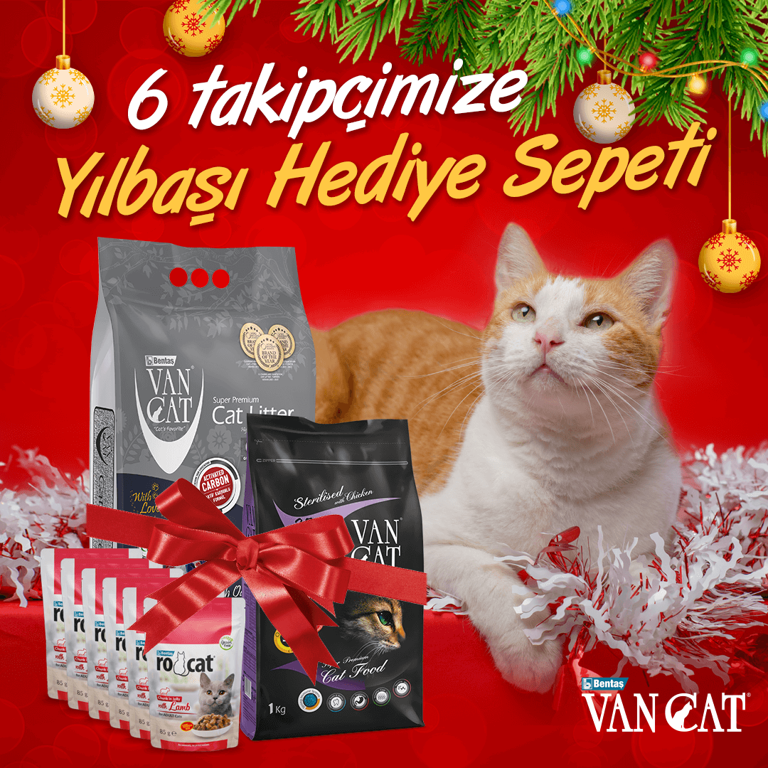 🎄🎁 VanCat Yılbaşı Çekilişi! 🎁🎄

🐾 @vancatturkiye sayfamızı takip et,
🐾 Bu gönderiyi beğen ve repostla,
🐾 Arkadaşını yoruma etiketle!

✅ 10 lt Aktif Karbonlu #KediKumu
✅ 1 kg Sterilised Tavuklu #KediMaması
✅ 6 adet 85 gr RoCat #YaşMama #Hediye! 😻

Sonuçlar 3 Ocak!