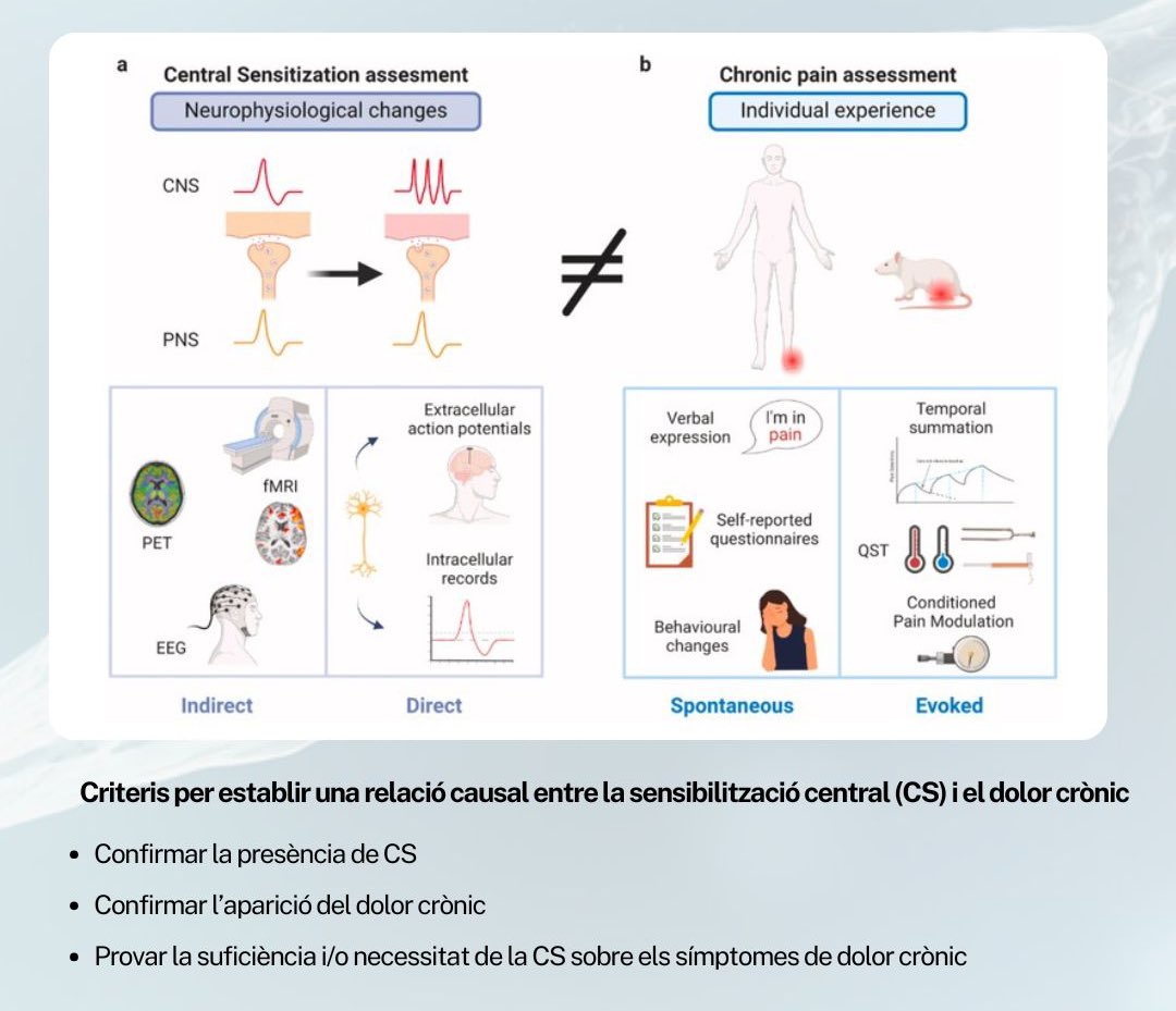 tradopcamfic's tweet photo. 📊 Conclusions destacades:
✔️ Els models animals mostren que el dolor persistent pot induir CS.

❌ Però: “La CS causa el dolor crònic” és una afirmació sense suport científic.

📌 Per què és important? Redefinir el coneixement actual pot millorar diagnòstics i tractaments. https://t.co/Q6INYrv0k4