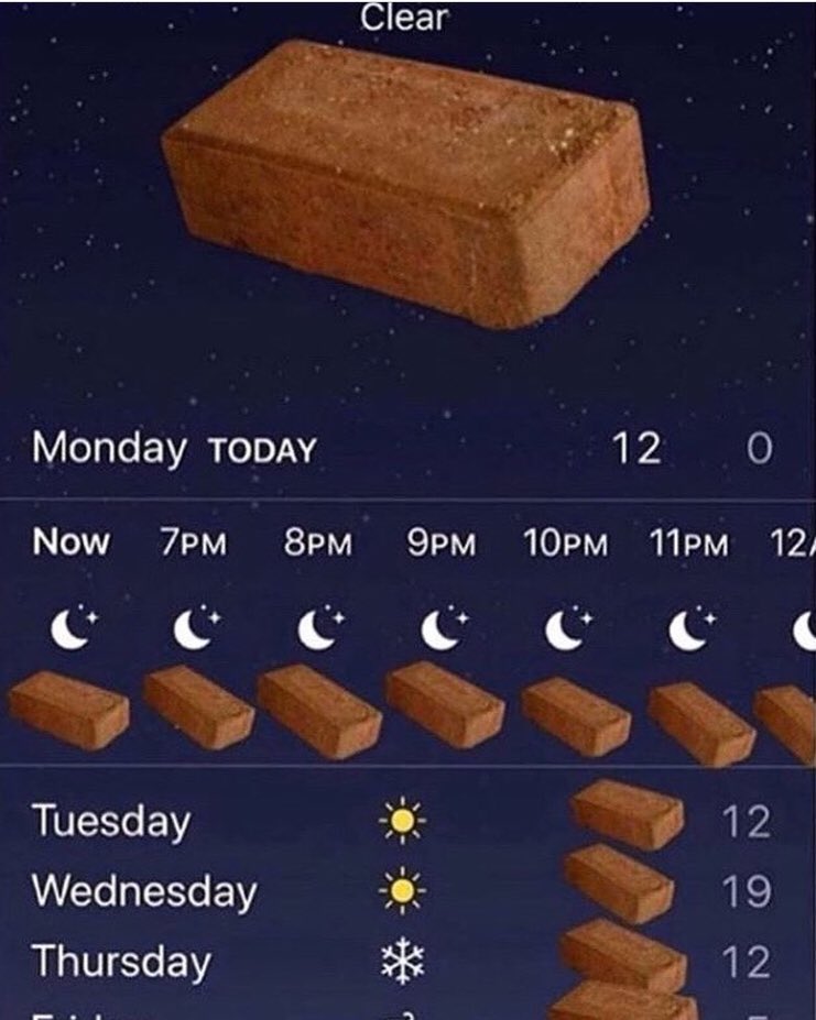 Dawg the weather outside