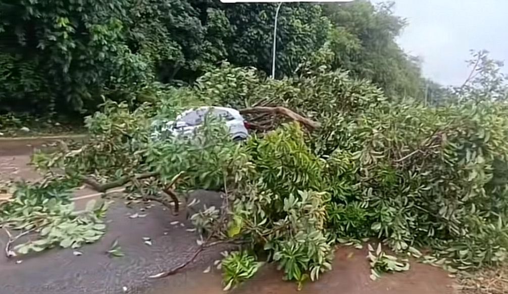 🔵MO NEWS | Les secours très sollicités ces dernières heures, à cause du mauvais temps - ⤵️
monewsguyane.com/2024/12/23/les…
