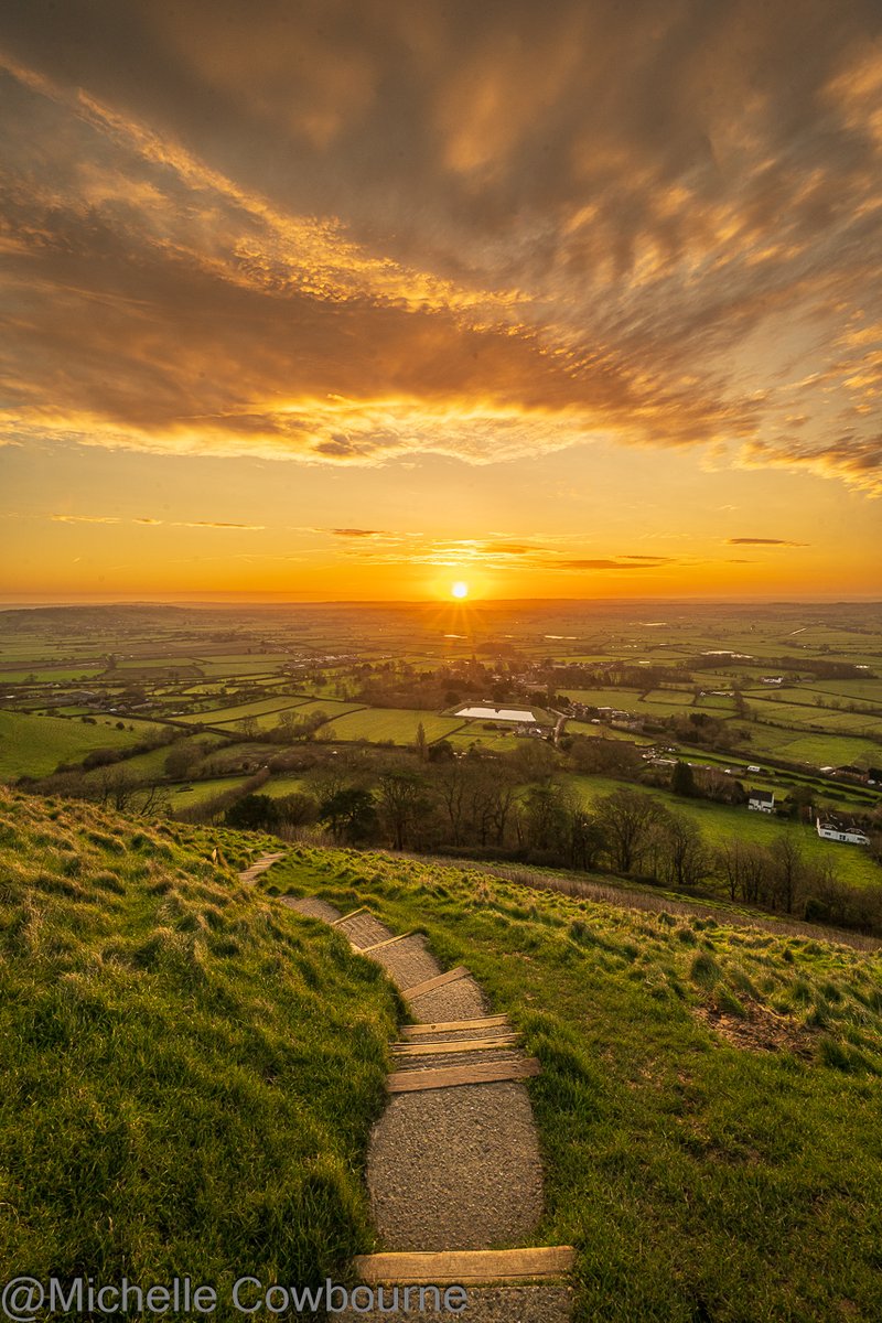 Michelle Cowbourne tweet media