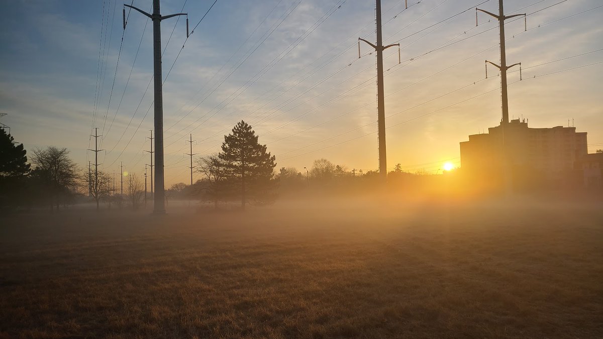 TheMeadoway tweet media