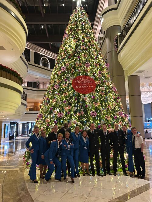 KLM's tweet photo. From our KLM family to yours, may your holidays be merry and bright 🎄✨

#KLM #HappyHolidays https://t.co/lUyHHDYrZv