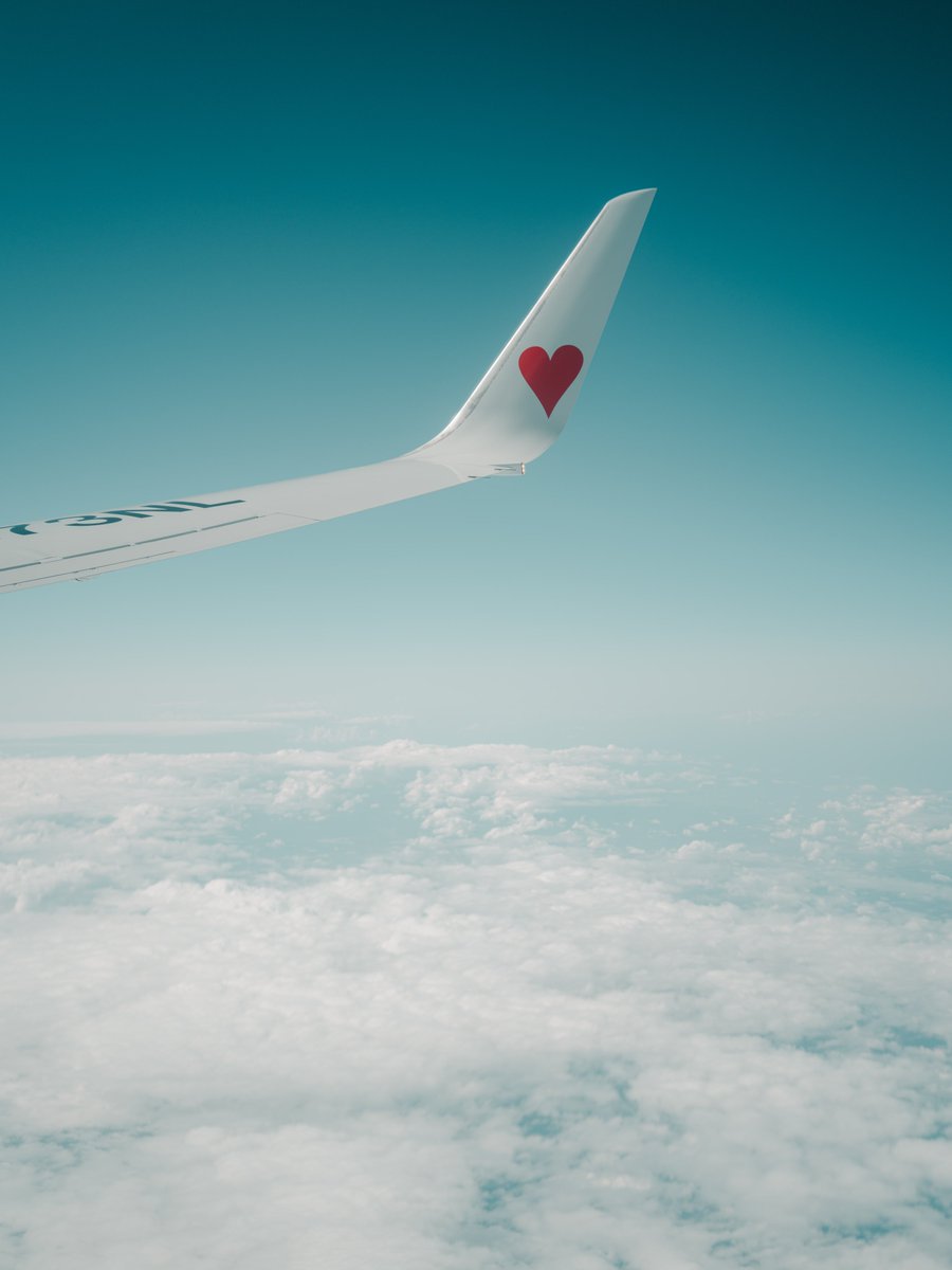 スカイマークのウイングレット。私はこの赤いハートマークしか見たことがないのだが、実は青いハートマークや音符、さくらんぼなんかもあるらしい。どれがいちばん空に映えるだろうか。
