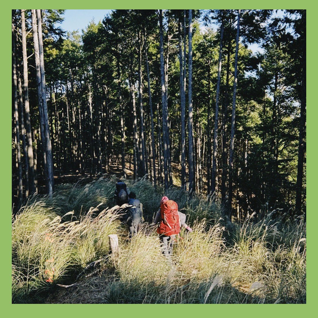 keioKWV's tweet photo. 12/6から12/8にかけて、藪FP(1泊2日)が婆娑羅で行われました🌿🧭

低山で行う読図、ルーファイは難しいですよね🤨
先日リーダー養成に合格した2年生が、1年生と一緒に地図を広げて読図��教える様子が見られました👀

こうやって長い歴史を経て、技術が受け継がれて来たと��うと感慨深いものです✨ https://t.co/9VpRv7B5YZ