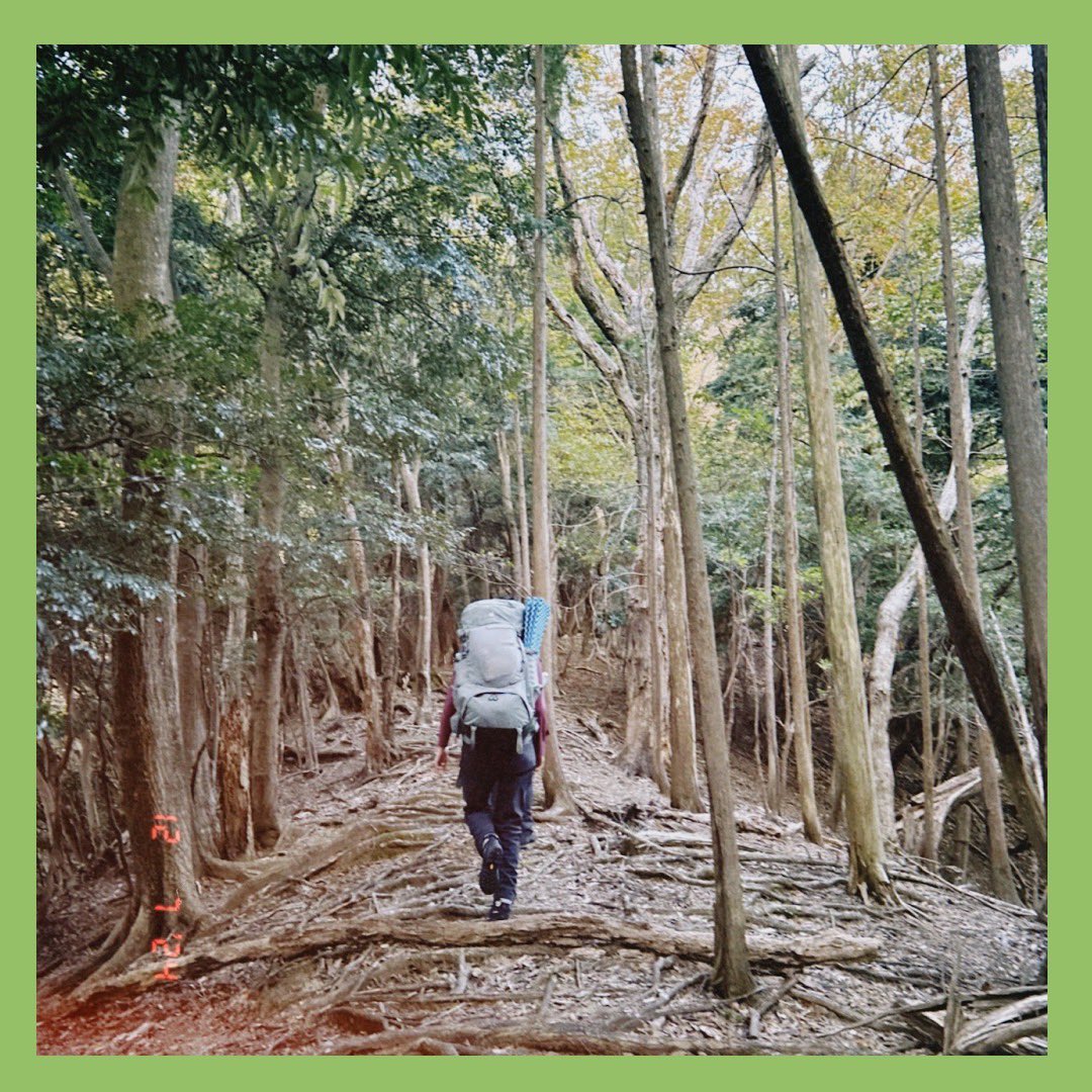 keioKWV's tweet photo. 12/6から12/8にかけて、藪FP(1泊2日)が婆娑羅で行われました🌿🧭

低山で行う読図、ルーファイは難しいですよね🤨
先日リーダー養成に合格した2年生が、1年生と一緒に地図を広げて読図��教える様子が見られました👀

こうやって長い歴史を経て、技術が受け継がれて来たと��うと感慨深いものです✨ https://t.co/9VpRv7B5YZ