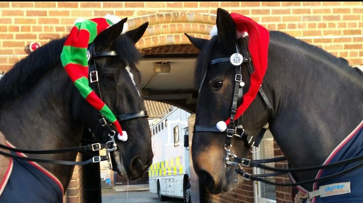 Well that’s me all done till Boxing Day afternoon, my rest days have landed very nicely this year! 
A massive thank you to all our amazing grooms who work hard to provide 24 hour care throughout the year. 
#StandTall #PHMajor #PHHarriet #ThrowBack #WeHaveTheBestGrooms