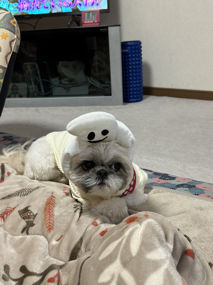 ohagitan's tweet photo. 😒 https://t.co/9YbyB6lgmI