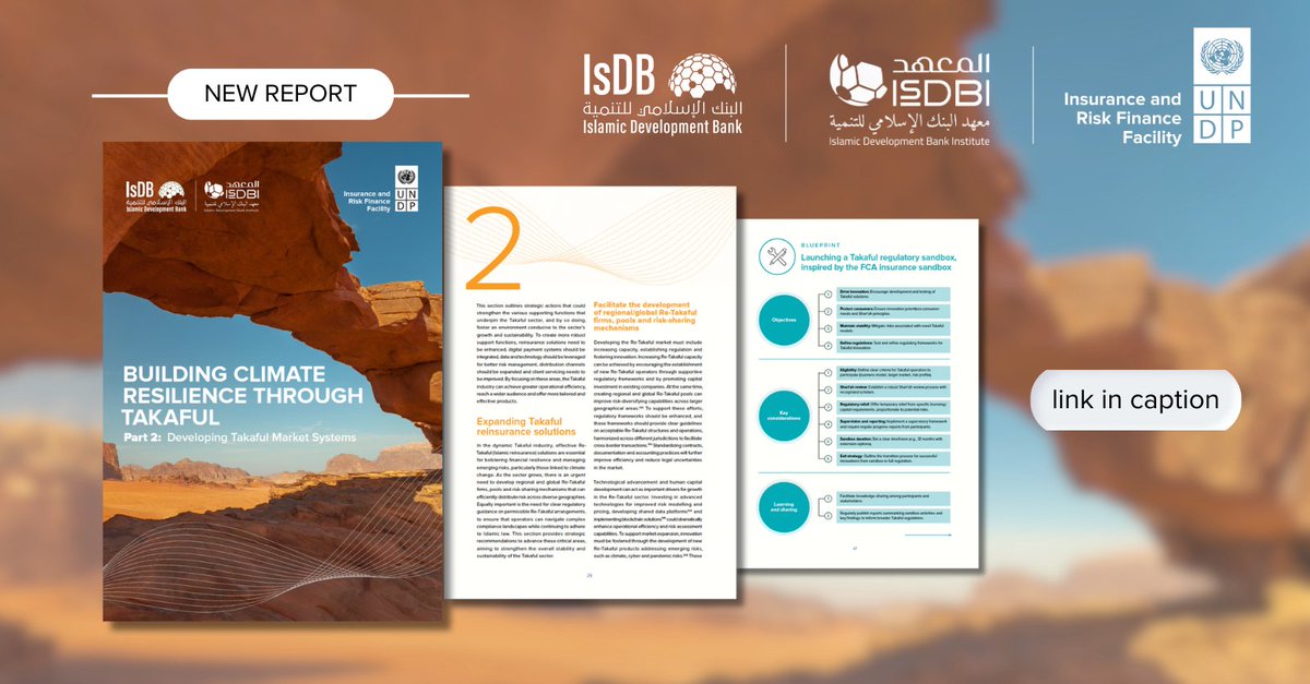 Download the new report on “Developing Takaful Market Systems” to learn how the development of the Takaful market can bolster the #financialresilience of Muslim-majority populations and non-Muslims seeking alternative financing modalities. irff.undp.org/report/buildin…