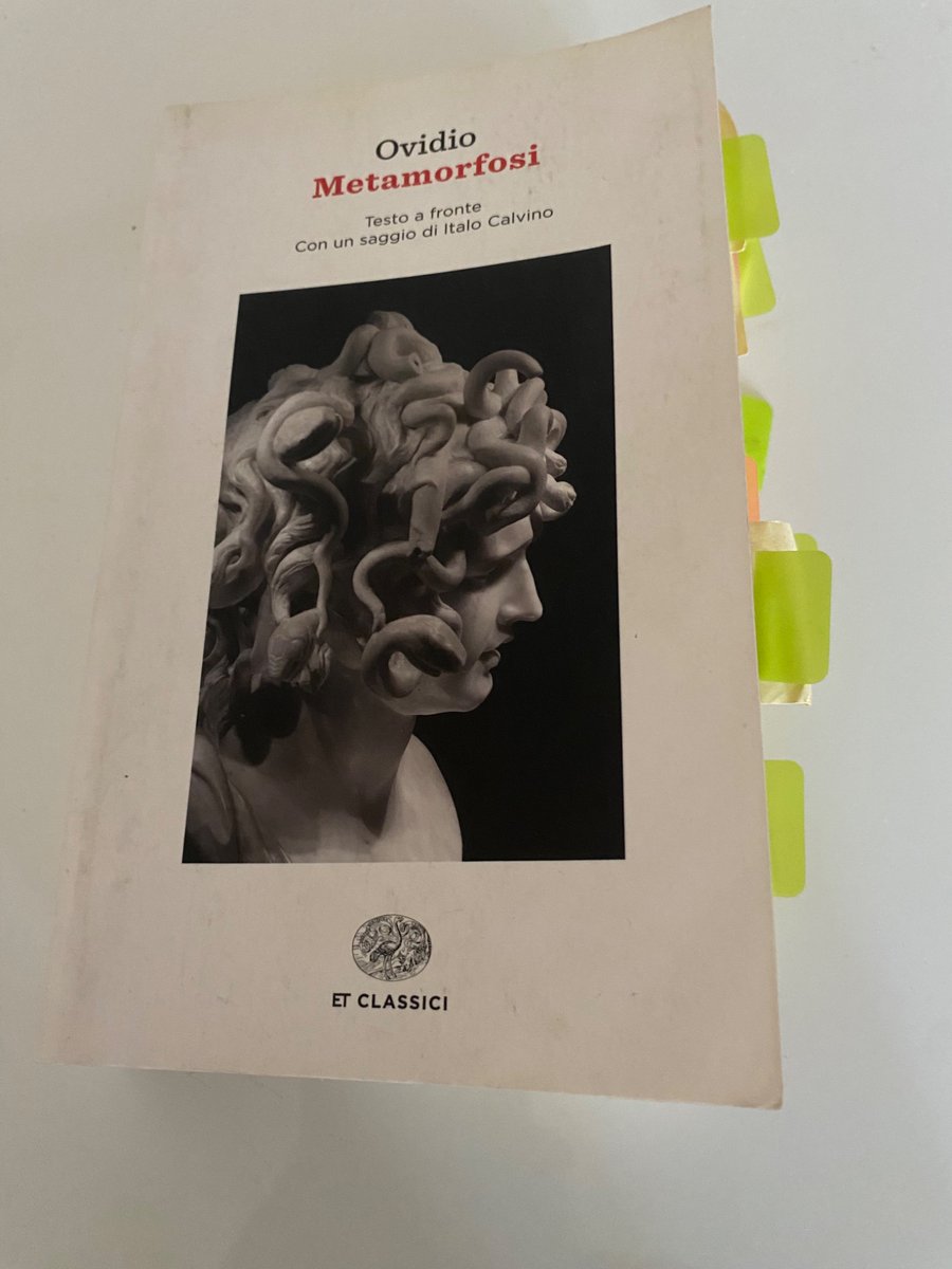 JGiusi's tweet photo. #InAttesaDelNatale
@SalaLettura
#Regalaunlibro
Il mito e la memoria
Ovidio
Metamorfosi https://t.co/A7knJZOSdQ