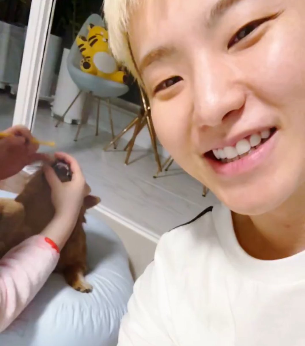 호랑baby 🐈⬛ tweet media
