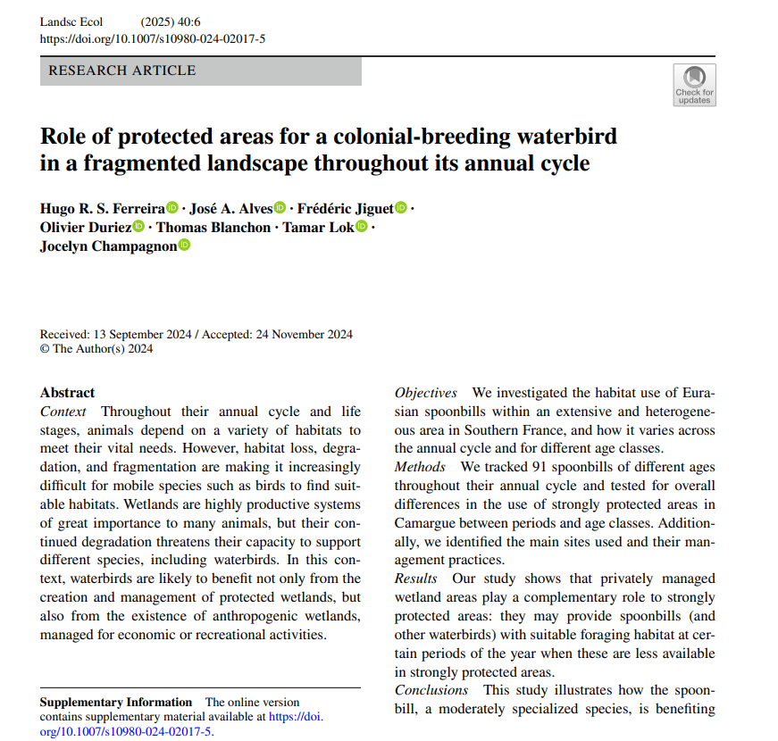 Hugo Ferreira tweet media