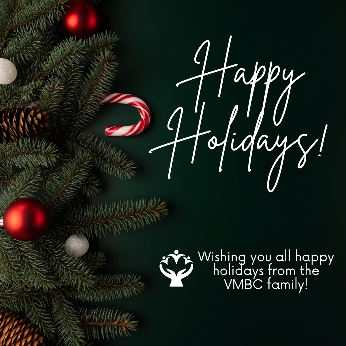 As the year comes to an end, we want to extend our warmest wishes to you and your loved ones. May this holiday season bring you peace and happiness. 🌟❤️ Happy Holidays from Volunteer MBC! 🎁🎉