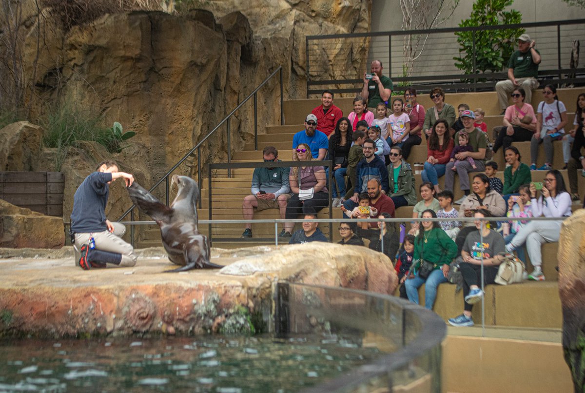 houstonzoo's tweet photo. From flipped friends to long-necked giraffes, we offer a variety of Meet the Keeper Chats for you to meet the keepers who care for them and learn more about our incredible animals. Thank you to our generous sponsor, @CenterPoint Energy Foundation. #CNPCares https://t.co/rD4fiaUhzR