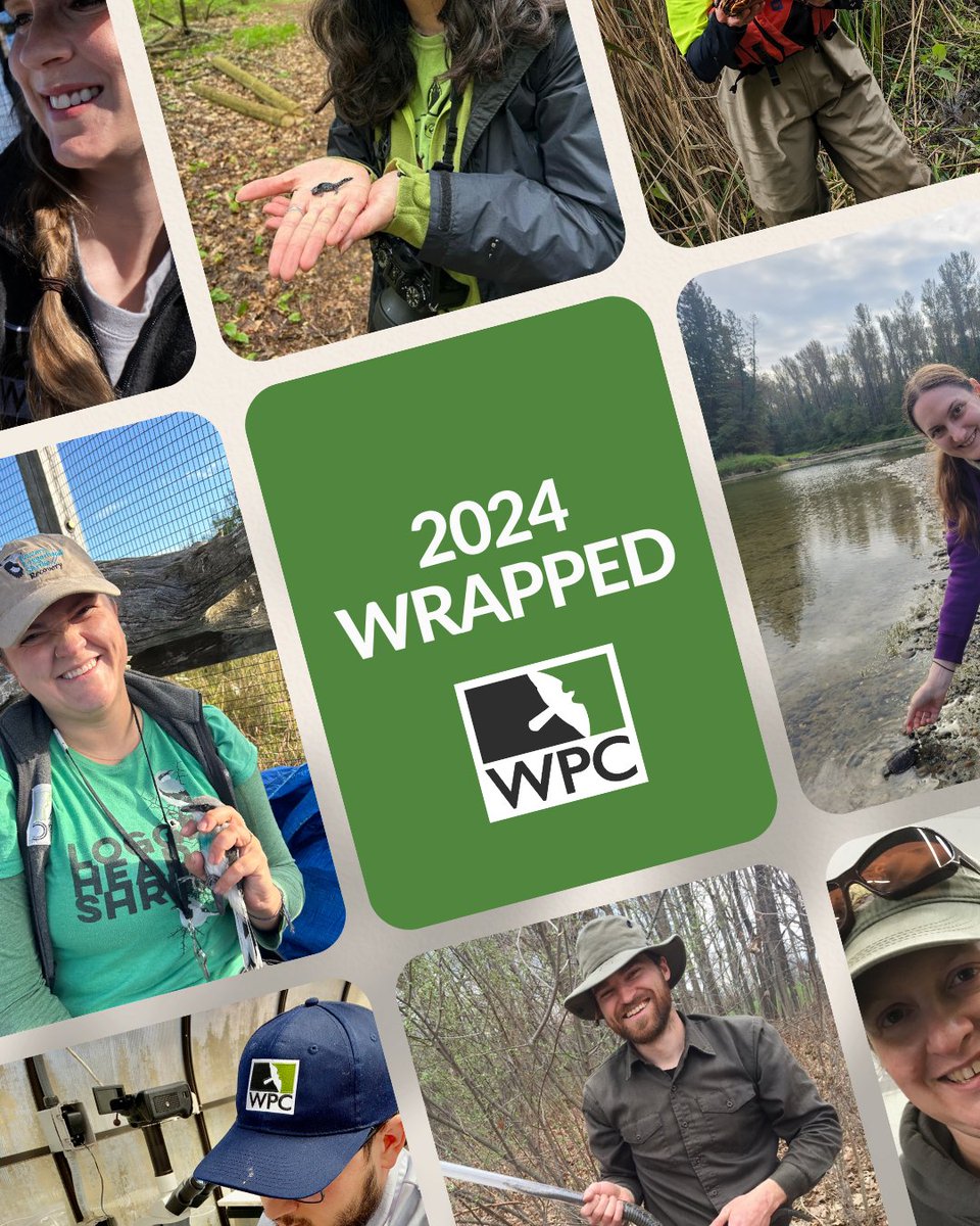 🎉 WPC WRAPPED 2024 is almost here! 🎥 This Friday, we’re dropping our year-end highlights and a special video you won’t want to miss.⁠
⁠
Sign up for our emails now and make sure it lands straight in your inbox this week: wildlifepreservation.ca/signup-for-our…
⁠
#WPCWRAPPED2024