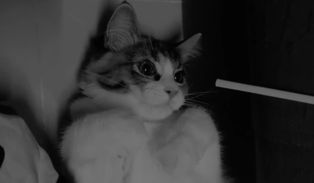 »»————> ♡