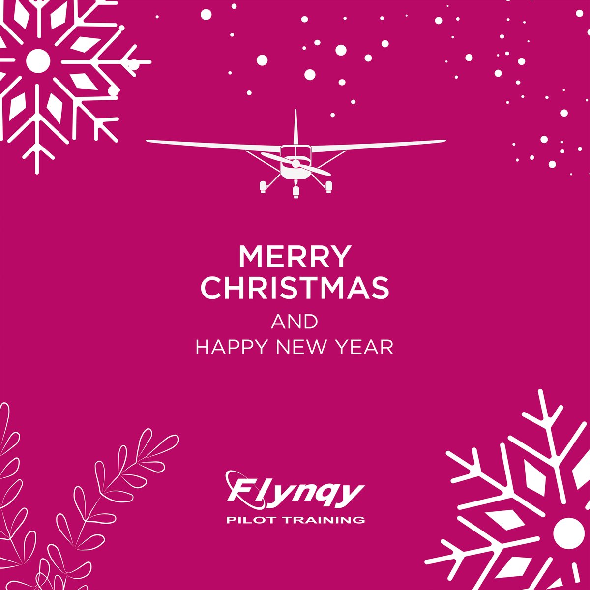 Flynqy Pilot Training tweet media