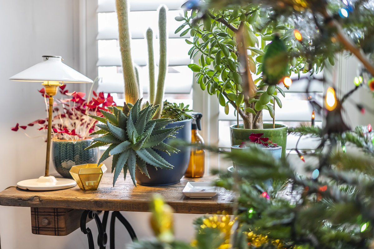 NicheCom tweet media