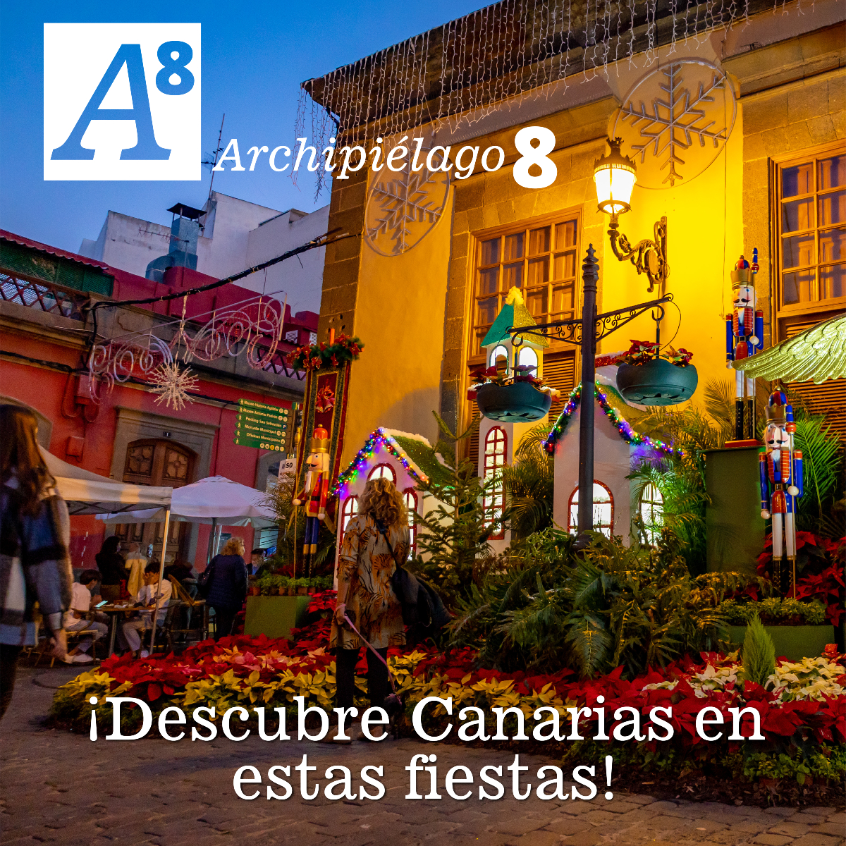 Canarias puede llegar a ser maravillosa

Descúbrela poco a poco, paso a paso

Estas fiestas son ideales para vivir el #ecoturismo, el #turismoactivo y el #enoturismo 

¡Vívela!