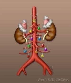 #Transplantation will not stop for Christmas and neither will we with our message of encouraging everyone to share their wishes about their #OrganDonation decision. This image was shared by one of the Transplant surgeons at Imperial NHS Trust in London a few years ago...1/4