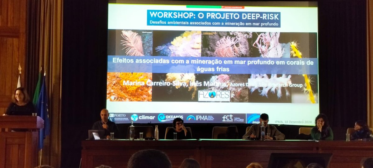 Azores Deep-Sea Research tweet media