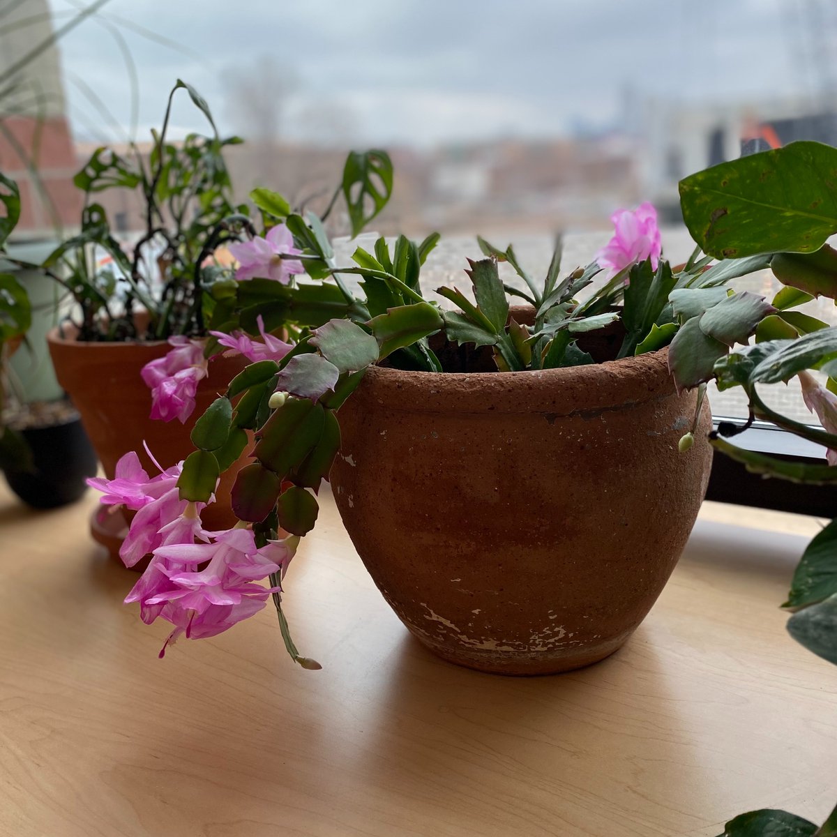 HullemanLab tweet media