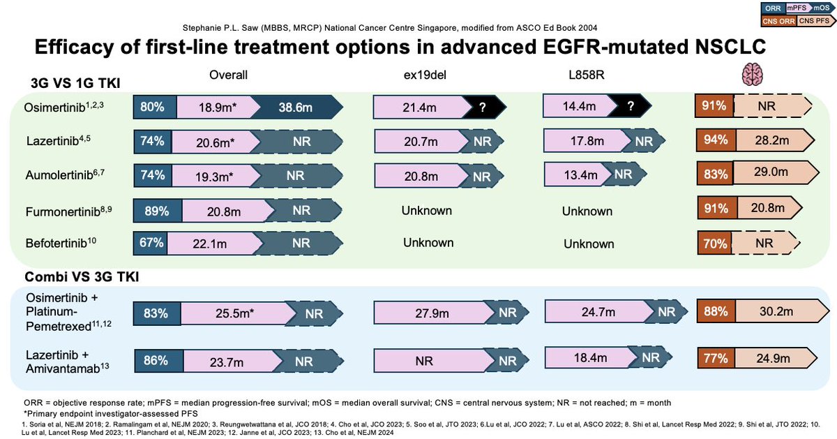 stephanieplsaw's tweet photo. Inspired by my good friend and slide master @JordiRemon - sharing these updated summary slides for 1L and post-progression treatment options for advanced stage EGFR-mutated NSCLC. Might be outdated soon but hopefully not before 2025 😬 @OncoAlert https://t.co/kgDDZbeAvX