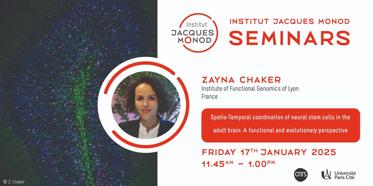 Institut Jacques Monod (@ijmonod) on Twitter photo 📢 Institut Jacques Monod Seminar
📅 January 17th
📍 Institut Jacques Monod
Invited by <a href="/nkonst4/">Nikos Konstantinides</a>'s Lab, @zaynanou will give the IJM Seminar "Spatio-Temporal coordination of neural stem cells in the adult brain: A functional and evolutionary perspective"
➡️urls.fr/QVZGz8 📢 Institut Jacques Monod Seminar
📅 January 17th
📍 Institut Jacques Monod
Invited by <a href="/nkonst4/">Nikos Konstantinides</a>'s Lab, @zaynanou will give the IJM Seminar "Spatio-Temporal coordination of neural stem cells in the adult brain: A functional and evolutionary perspective"
➡️urls.fr/QVZGz8