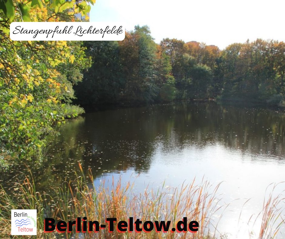 berlower's tweet photo. Ein Pfuhl, wo mal zwei waren? Der #Stangenpfuhl von #Lichterfelde in der #Thermometersiedlung
https://t.co/JooXzVGNOC
#Berlin #SteglitzZehlendorf #Steglitz #See #Ausflugsziel #Natur #Tiere https://t.co/yvObG6rBJ2
