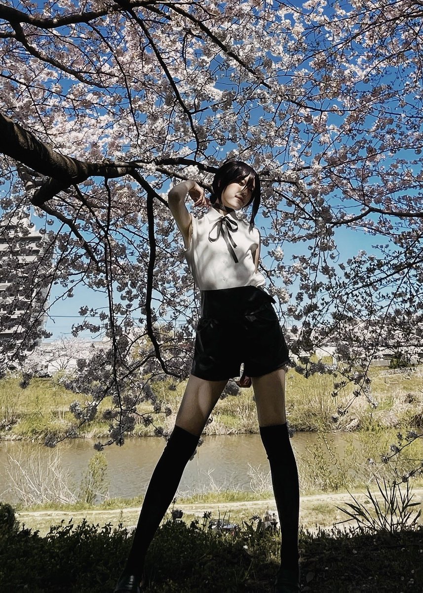 セナシサン せな (@senasanrio_710) / X